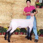 Johnson Winner