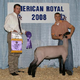 Johnson Winner