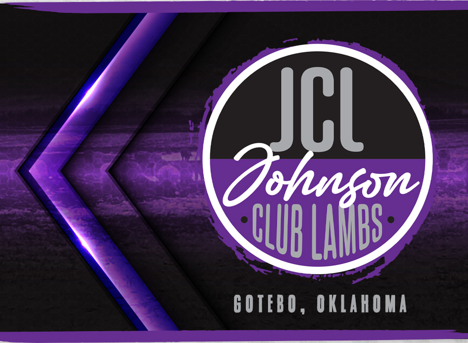 Johnson Club Lambs