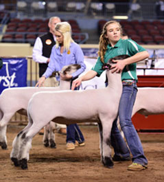 Johson Winner